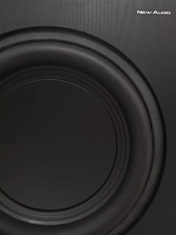 Subwoofer Ativo 10 Polegadas Newaudio Sub200 - Image 3