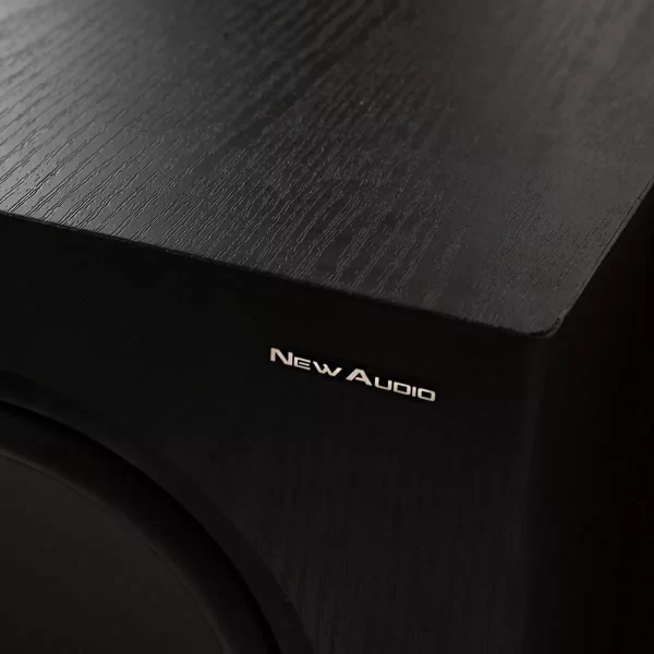 Subwoofer Ativo 10 Polegadas Newaudio Sub200 - Image 2